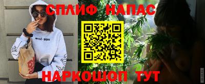 мдпв Партизанск