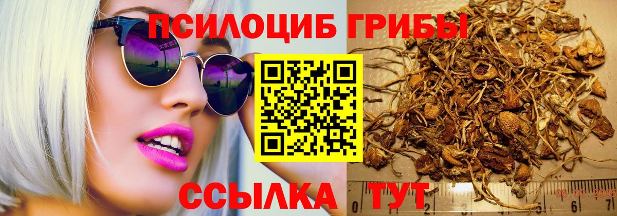 Псилоцибиновые грибы Magic Shrooms Солнечногорск