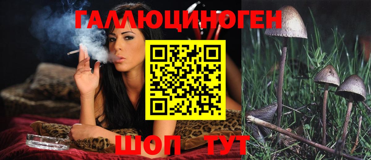 Солнечногорск  Псилоцибиновые грибы мицелий  Вход с VPN 